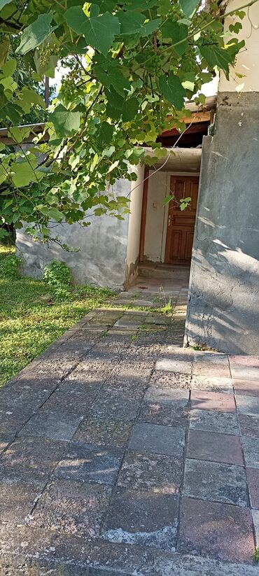 Uzunmüddətli kirayə mənzillər: Salam zaqatala car kendindedi ev internet qaz su her weyi var yolun -da lalafo.az — 12 Uzunmüddətli kirayə mənzillər: Salam zaqatala car kendindedi ev internet qaz su her weyi var yolun — 12