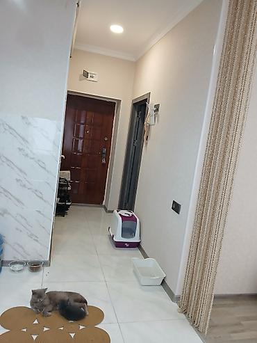azadliq ev: 1 otaqlı, Yeni tikili, m. Nəriman Nərimanov, 42 kv. m — 7