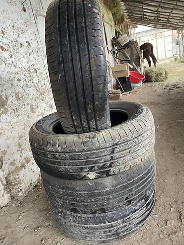 225 55 р17: Летние шины 245/45 R19, комплект из 4 шт. - Размер: 245/45 R19 — 4