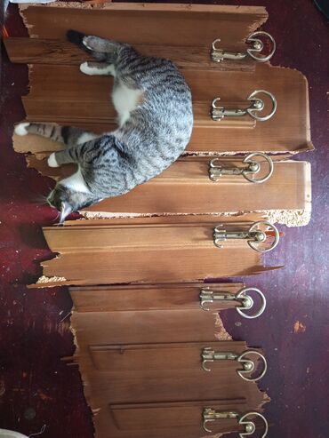 Asılqanlar: Sovetden qalma,qedimi qarderobun, taxta ve polad asilqani — 3