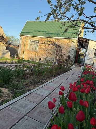 Жер тилкелерин сатуу: 🌿 Продаётся дом с большим ухоженным участком — 4,25 сотки 📍 Байтик — 4