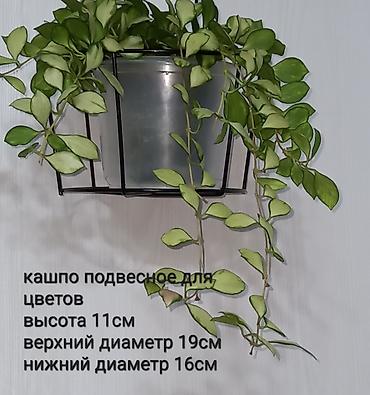 уметал: Подвесное кашпо держатель для цветов. В наличии 2 кашпо. Цена 150сом — 1
