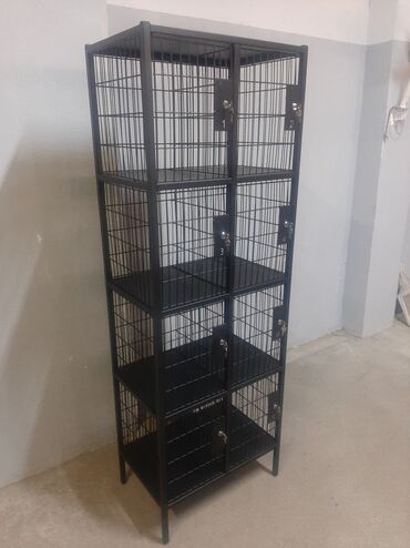 Setka vitrinləri: Teşir 60x40- 27azn, 60x60- 29azn, 60x80- 31azn (anbardan — 8