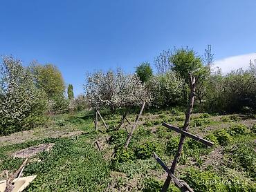 Продажа коттеджей и домов: Продаётся дом в с. Военно-Антоновка (Кожомкул), ул. Ала-Арчинская — 3