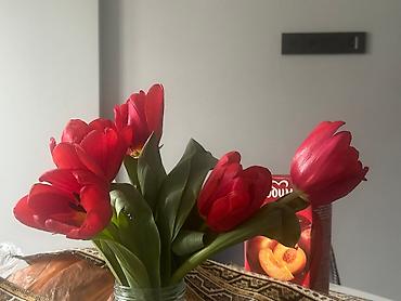 Фасадные гранитные плитки: Гранит гранит Индийский камень есть наличии размер 60•толщина 1.8 at lalafo.kg — 40 Фасадные гранитные плитки: Гранит гранит Индийский камень есть наличии размер 60•толщина 1.8 — 40