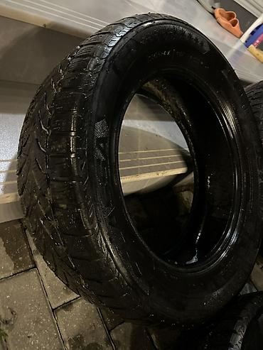 16lıq disk: Lassa COMPETUS qış şini - Ölçü: 225/60 R17 - Yük/sürət indeksi: 99H - — 8