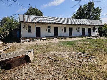 котедж слив пантера: Здание, Действующий 100 м² — 7