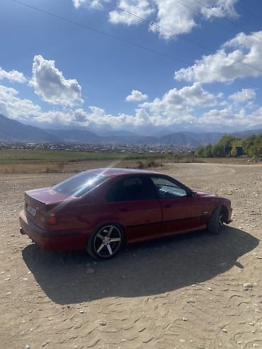 bmw e12: BMW 5 series: 2001 г. — 5