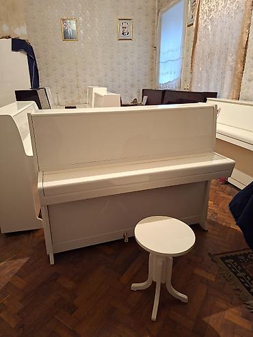 Piano, Petrof, Akustik, Yeni, Pulsuz çatdırılma lalafo.az -da Piano, Petrof, Akustik, Yeni, Pulsuz çatdırılma
