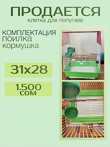 Животные: Клетки для попугаев Зеленая: - Размер: 31×28 см - Комплектация — 1