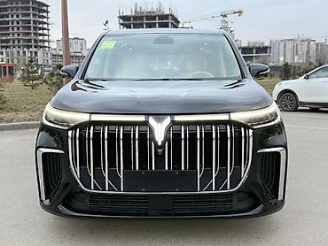 Voyah: Voyah Dream: 2024 г., 1.5 л, Автомат, Гибрид, Минивэн — 2