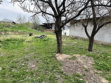 Продажа коттеджей и домов: Кенеште, 218 кварталда пмкада, 8 сотик жер, курулган 4 комнат уйу — 12