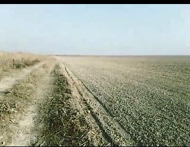 kurdəxanı torpaq satılır: 20700 sot, Kənd təsərrüfatı, Makler, Kupça (Çıxarış) — 4
