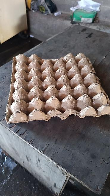 Лотки для яиц из формованного картона (тридцатка) цена 3.90 - at lalafo.kg Лотки для яиц из формованного картона (тридцатка) цена 3.90 -