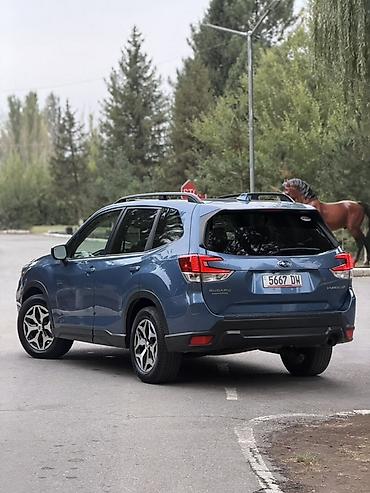 Subaru: Subaru Forester: 2020 г., 2.5 л, Вариатор, Бензин, Кроссовер — 2