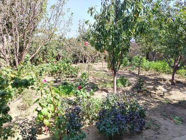 Həyət evləri və villaların satışı: Mehdiabad 4 otaqlı, 140 kv. m, Kredit yoxdur, Yeni təmirli -da lalafo.az — 13 Həyət evləri və villaların satışı: Mehdiabad 4 otaqlı, 140 kv. m, Kredit yoxdur, Yeni təmirli — 13