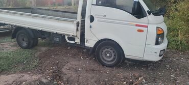 Легкий грузовой транспорт: Легкий грузовик, Hyundai, Стандарт, До 1 т, Новый