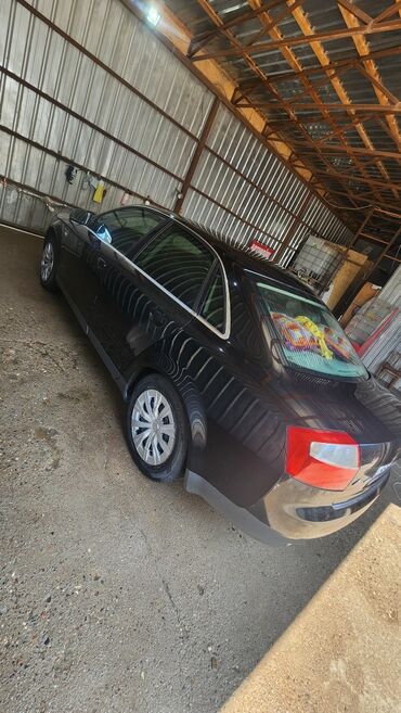 пневмо болоны: Audi A4: 2000 г., 2 л, Автомат, Бензин, Седан