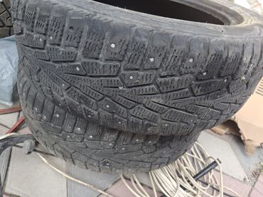 сколько стоят зимние шины на машину: Шиналар 205 / 55 / R 16, Кыш, Колдонулган, Жуп, Жеңил унаалар, Орусия, Cordiant