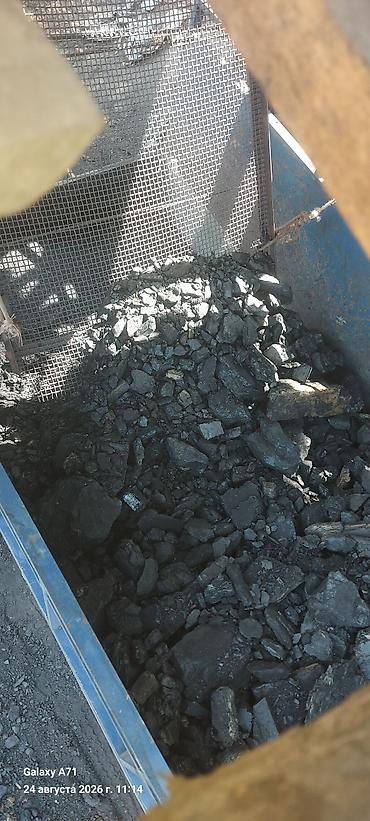 терезе сатылат: Акысыз жеткирүү, Дүң, Фракциясы: Чоң (Ч), Тонна менен — 1