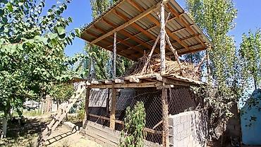 Продажа домов: Дом, 100 м², 7 комнат, Собственник, Евроремонт — 7