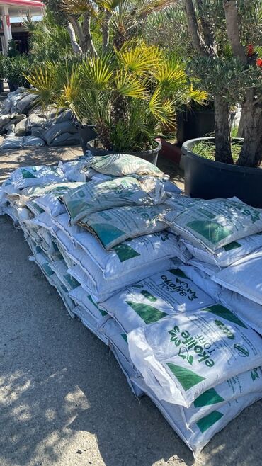 Toxumlar: Torflarin satişi balaken ekolay kkokavit 250litrlik xaricden gelen — 6