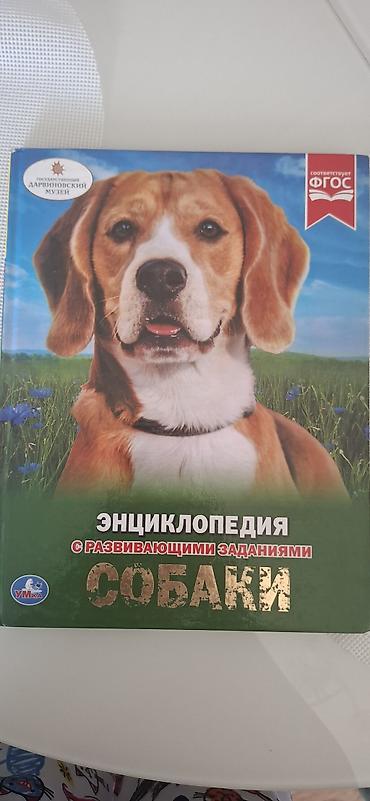 Детские книги: Продаю книги современной детской литературы, возраст, 6 12+. все — 10