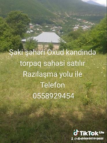 torpaq satilir type 1: Şəki şəhəri, Oxud kəndində torpaq sahəsi satılır. - Gözəl təbiət — 1