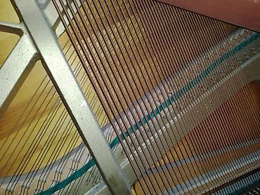 Musiqi alətləri: Piano, Weinbach, Akustik, Yeni — 4