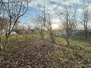 ev alqi satqisi 2018 sumqayit: Ахсу, 4500 м², 3 комнаты, Без бассейна, Комби, Артезианский колодец, Канализация — 6