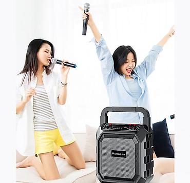 hoco eq34 plus: Портативная колонка караоке система с двумя микрофонами Chigo M63 — 5
