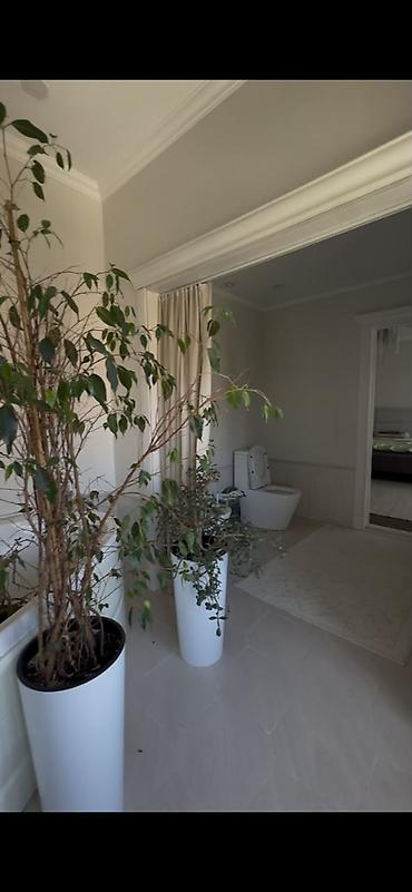 Продажа квартир: 5 комнат, 198 м², Космос 2 этаж, Евроремонт — 17