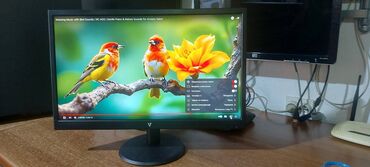 Monitori: V7 L215DS-2E - LED monitor - Full HD (1080p) - 21.5"-perfektan — 6