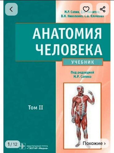 монстера альба купить: Куплю учебники по анатомии