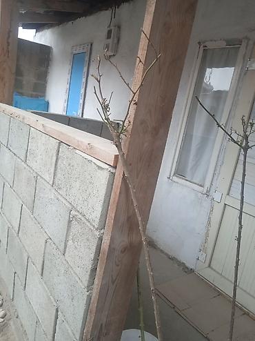 construction: Кладка стен и перегородок из блока/кирпича - Профессиональная кладка — 2