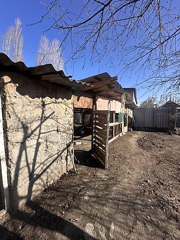 дом пр: 📍В Гавриловке от трассы 300 м продается дом коттеджного типа на — 3