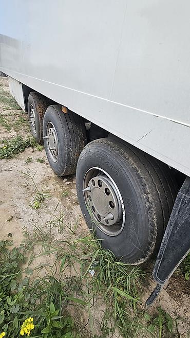Прицепы и полуприцепы: Прицеп, Schmitz Cargobull, Холодильник, рефрижератор at lalafo.kg — 5 Прицепы и полуприцепы: Прицеп, Schmitz Cargobull, Холодильник, рефрижератор — 5
