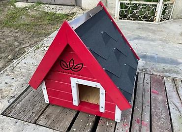Yuvalar: Taxta it evi – “İkiAdamWood” istehsalı Salam hər vaxtınız xeyir. İt — 15