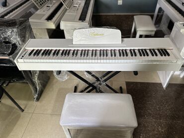 idman stulu: Piano, Rəqəmsal, Yeni