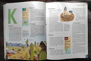 Ensiklopediyalar: Хочу все знать.Большая иллюстрированная энциклопедия интеллекта — 2