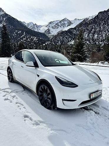 Tesla: Tesla Model Y: 2022 г., 4.4 л, Автомат, Электромобиль, Кроссовер — 1
