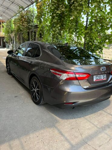 автомойка оборудование: Toyota Camry: 2020 г., 2.5 л, Автомат, Гибрид, Седан