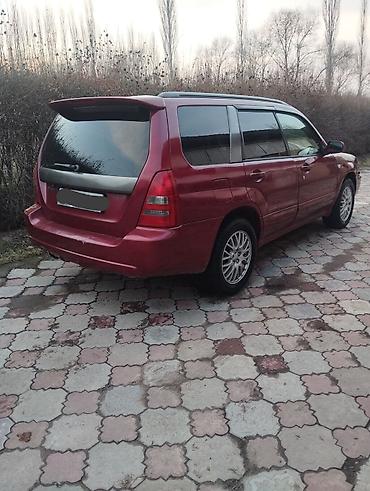 Subaru: Subaru Forester: 2002 г., 2 л, Автомат, Бензин, Универсал — 4