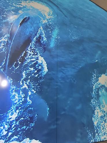 TV və video: İşlənmiş Televizor Toshiba LED ekran 50" 4K (3840x2160), Ünvandan götürmə, Ödənişli çatdırılma — 6
