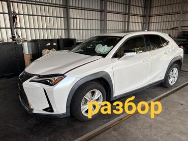 стрижки на дом: Авторазбор Lexus UX