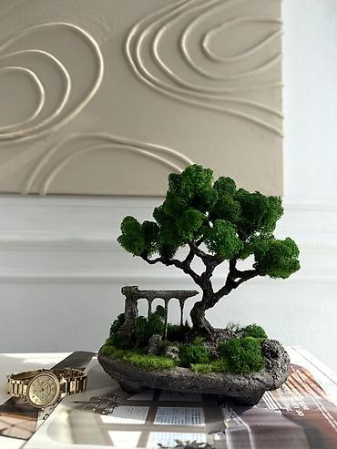 Другой декор и предметы интерьера: Декоративное дерево бонсай, выполненное из стабилизированного мха — 51