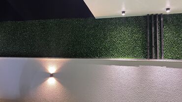 Bağ və bostan üçün digər məhsullar: 19 man baslayan qiymetler — 7