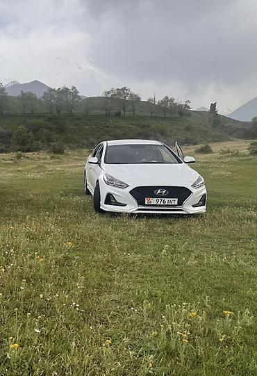 спойлер sonata: Hyundai Sonata: 2017 г., 2 л, Автомат, Бензин, Седан — 4