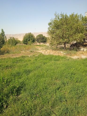 Продажа участков: 20 соток, Для сельского хозяйства — 7