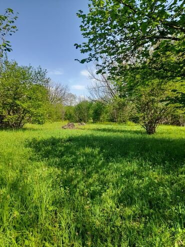 Torpaq sahələrinin satışı: 30 sot, Kənd təsərrüfatı, Mülkiyyətçi, Kupça (Çıxarış) -da lalafo.az — 19 Torpaq sahələrinin satışı: 30 sot, Kənd təsərrüfatı, Mülkiyyətçi, Kupça (Çıxarış) — 19